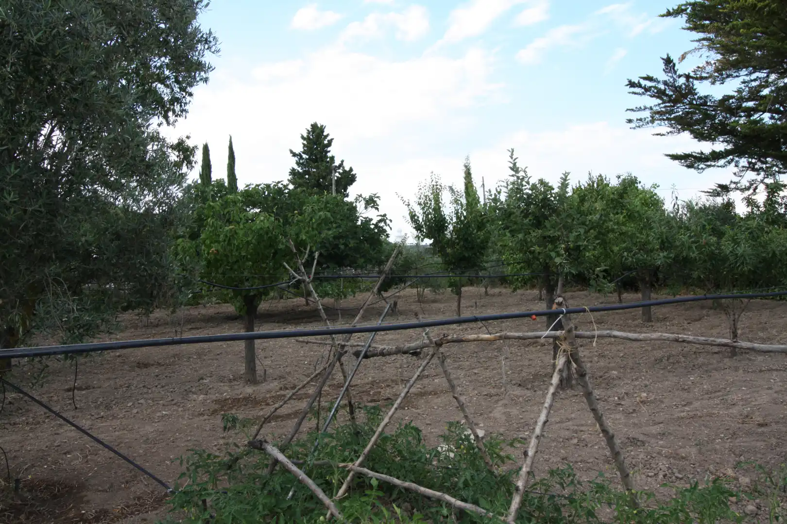 Jardí de Casa o xalet en venda en Laguna de Duero amb Calefacció, Jardí privat i Terrassa