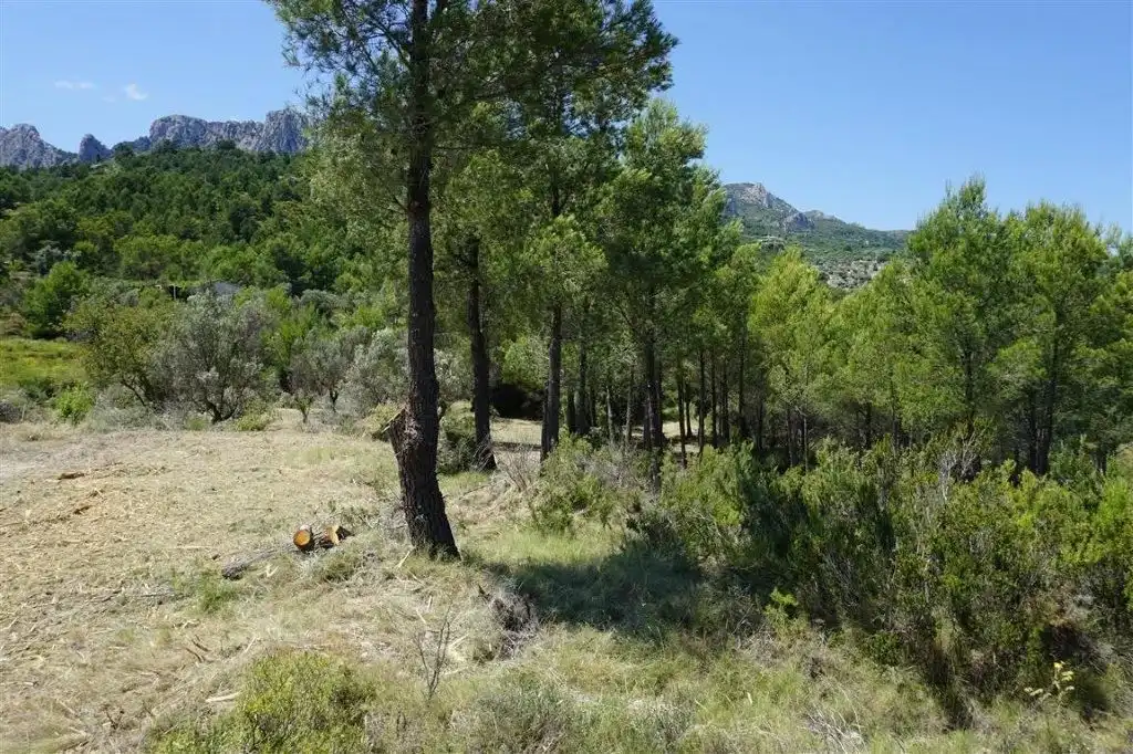 Land for sale in El Castell de Guadalest