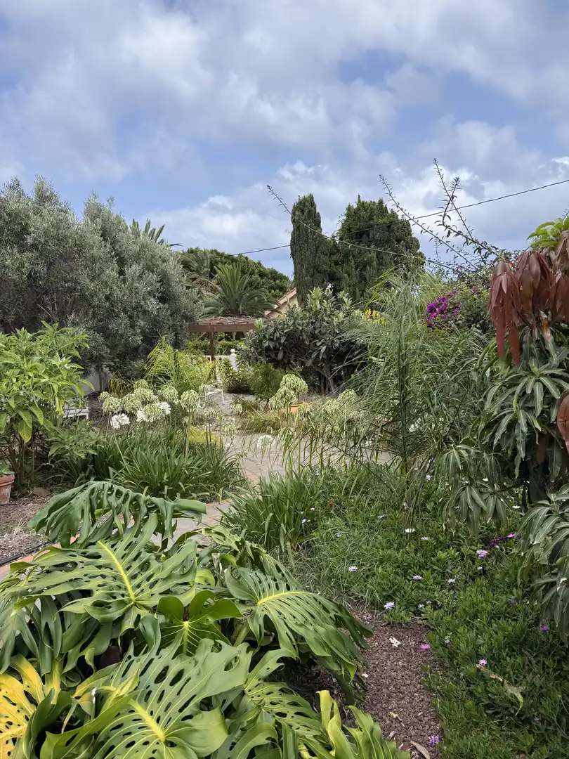 Jardín de Casa o chalet de alquiler en Tacoronte con Aire acondicionado, Jardín privado y Terraza