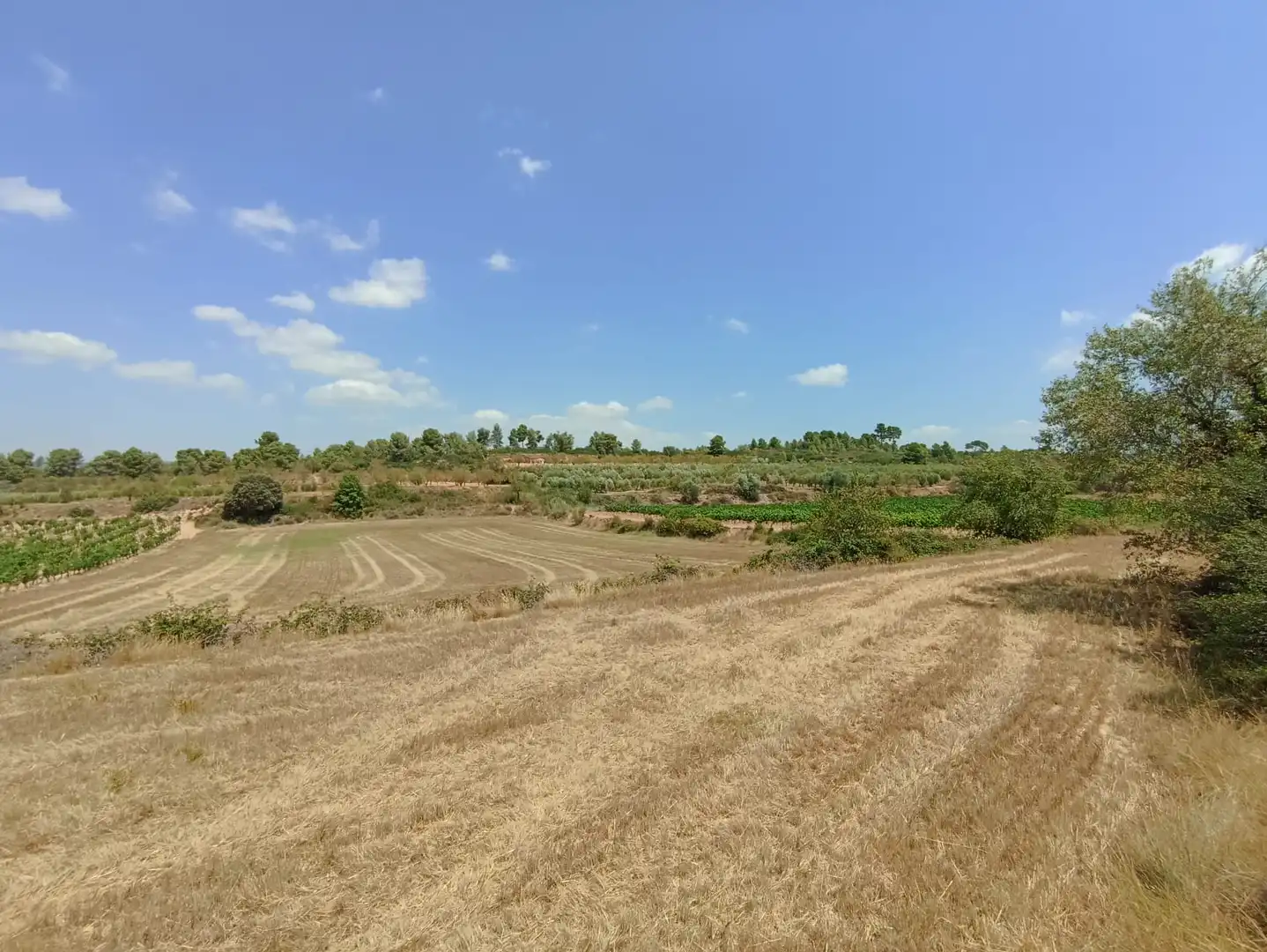 Grundstücke zum Verkauf in Barberà de la Conca