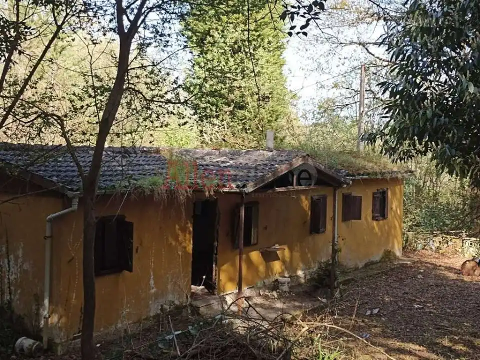Vista exterior de Casa o xalet en venda en Siero