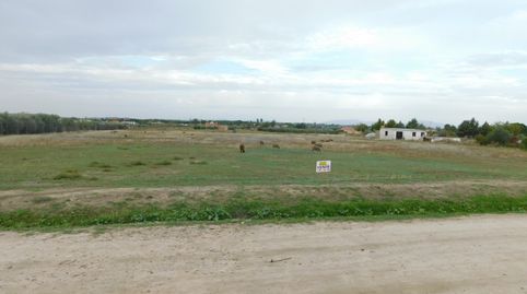 PARCELA RUSTICA EN LAS ARENAS