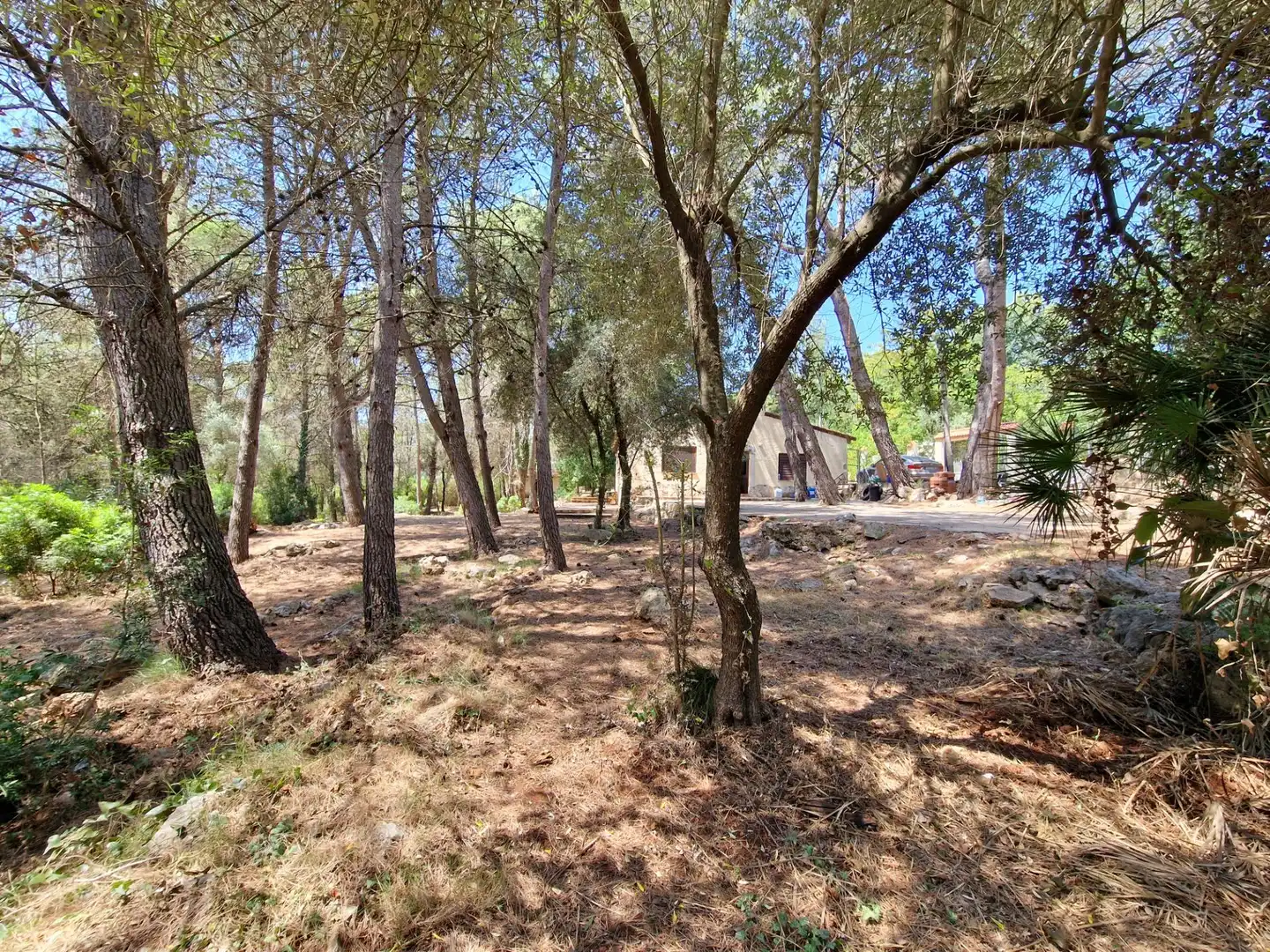 Detached house for sale in Vilallonga / Villalonga, imagen 36