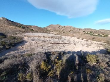 Terreno rustico in vendita a Pedanías Oeste