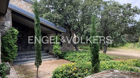 Foto 4 de Finca rústica de alquiler en Alpedrete, Madrid