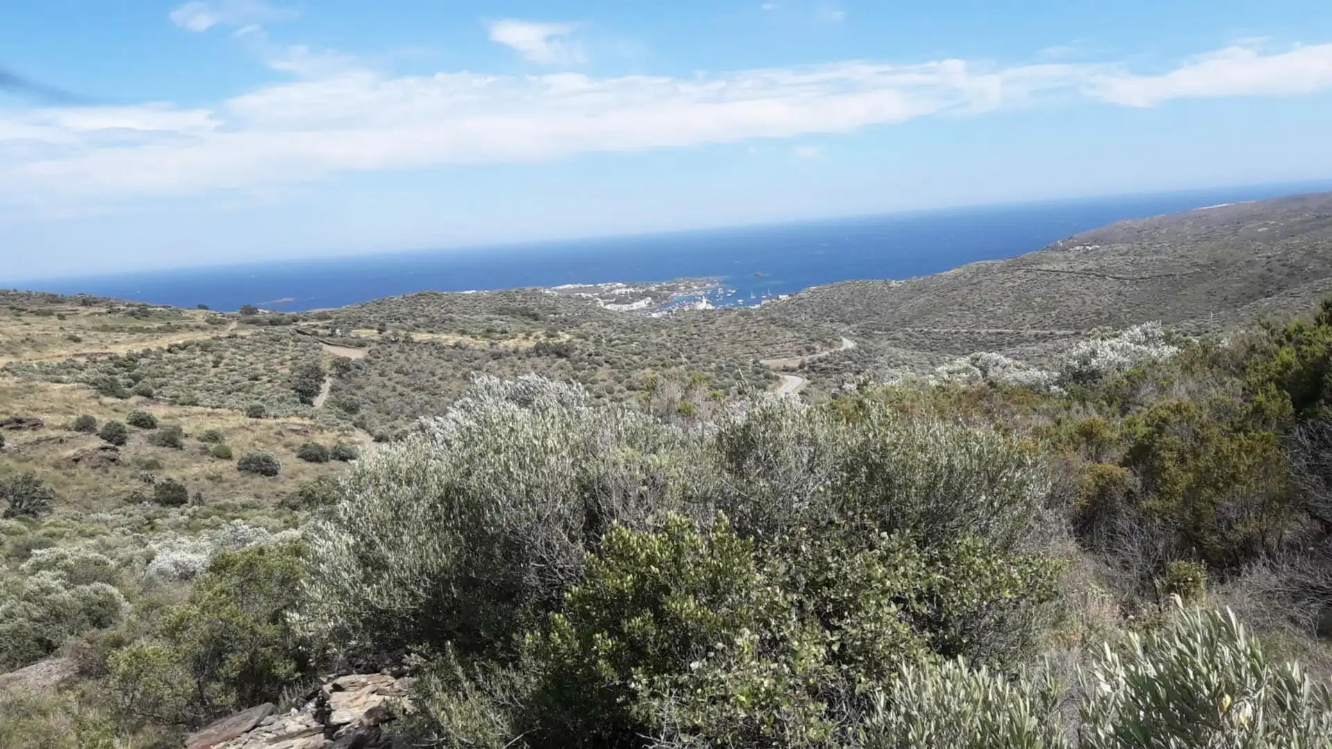 Lands and plots for sale in Ses Closes, imagen 13