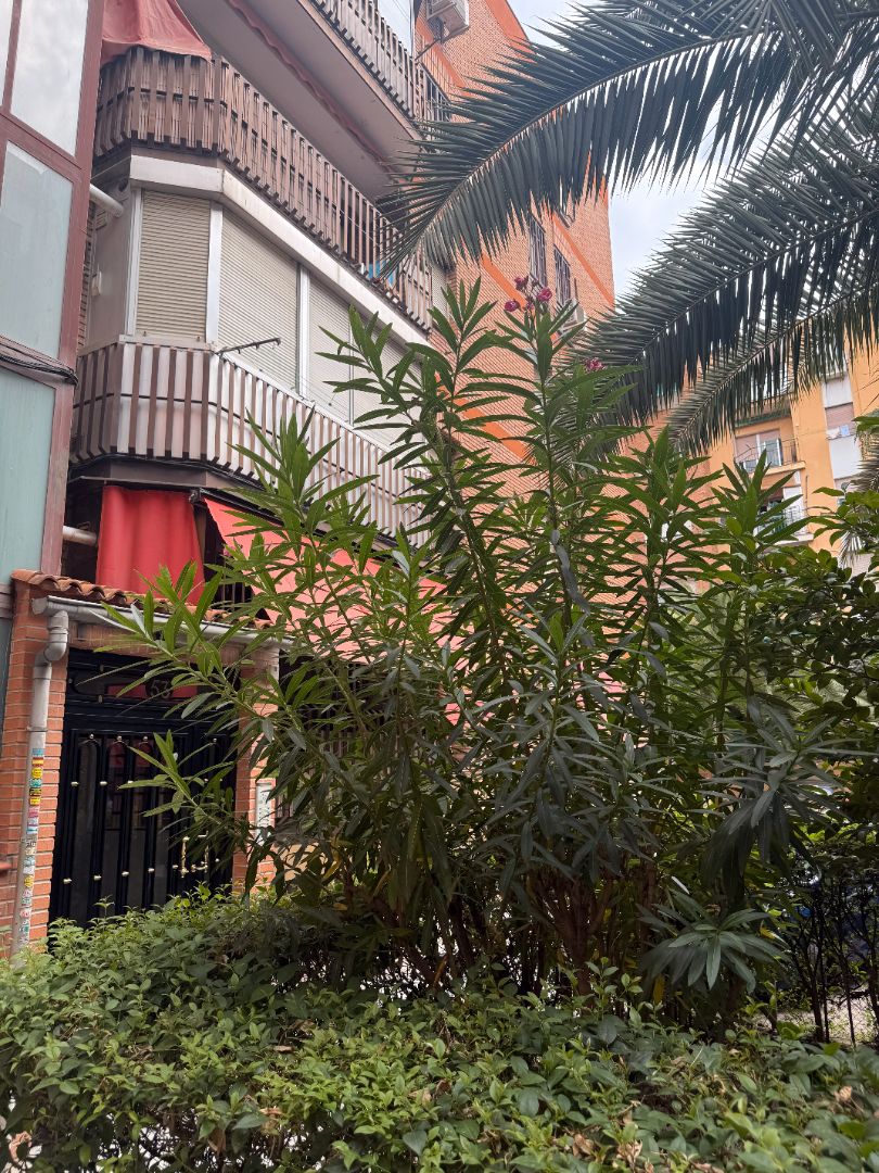 Piso en venta en Avenida de Abrantes, Abrantes