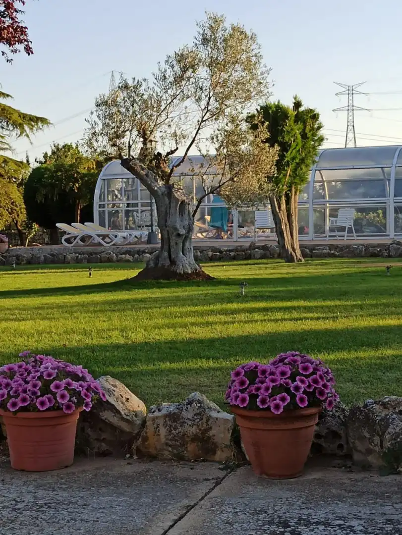Jardí de Casa o xalet en venda en Husillos  amb Terrassa