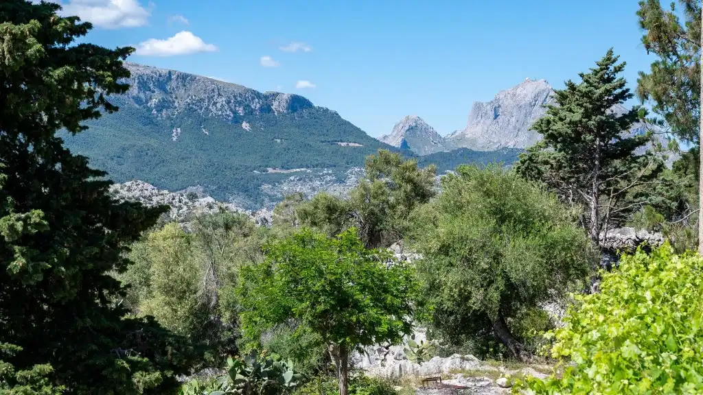 Maison rustique à vendre à Escorca, imagen 17