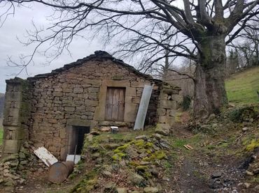 Landhaus mit Garten zum Verkauf in San Pedro del Romeral