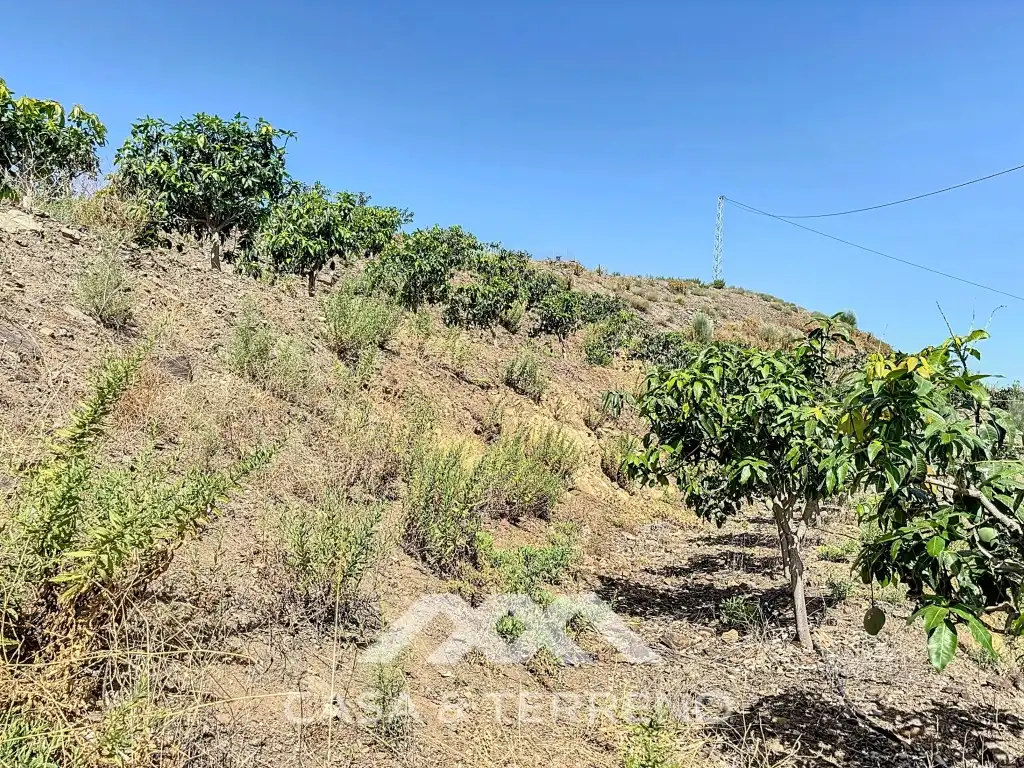 House for sale in Lagar Juan María Rebombeo, Cajiz, imagen 14