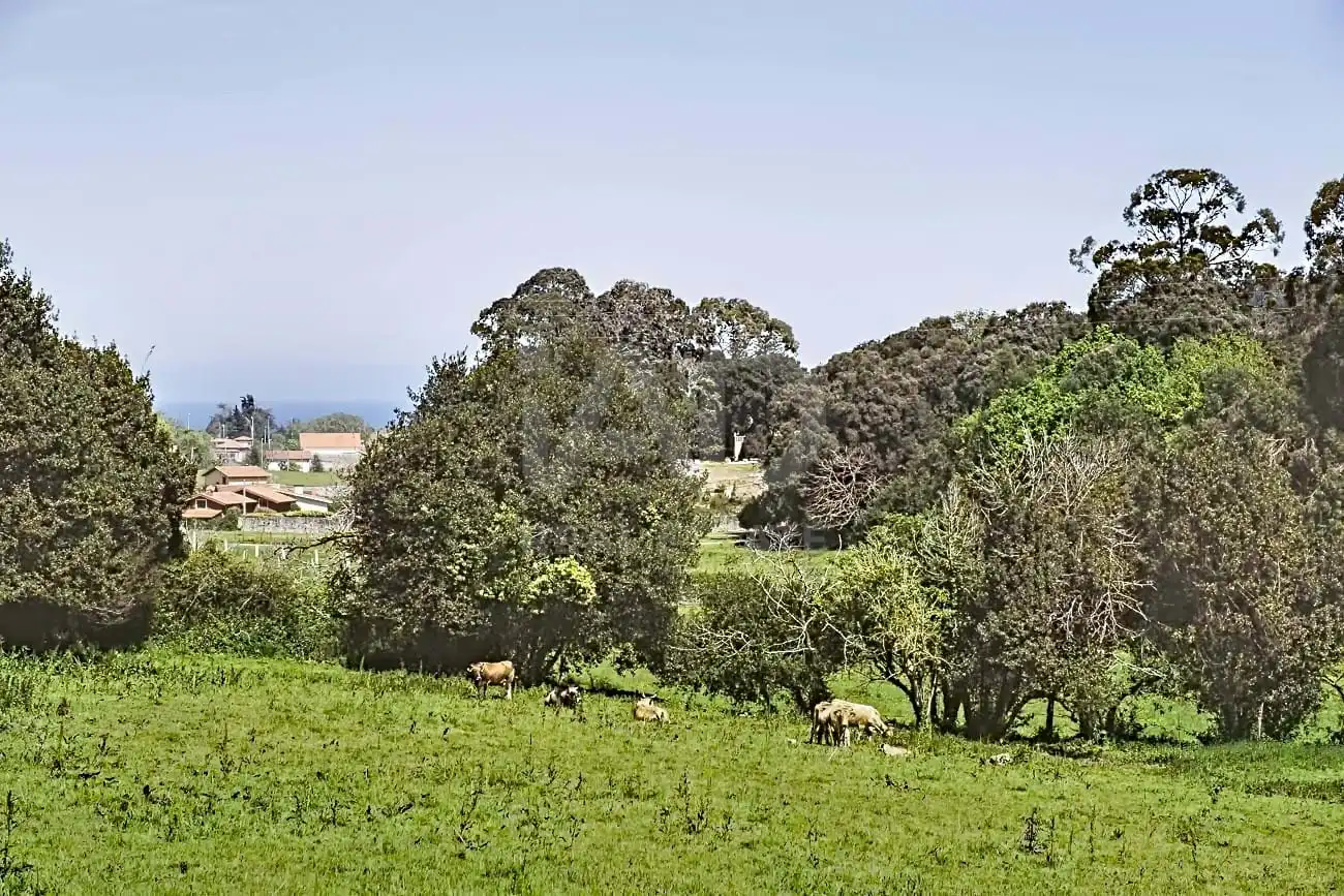 Vista exterior de Finca rústica en venda en Llanes amb Aire condicionat i Calefacció