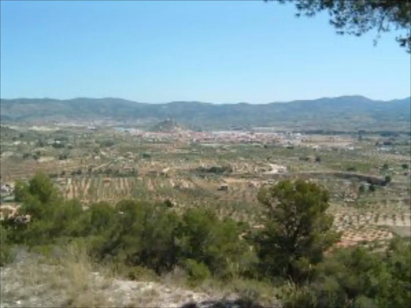 Terreny rústic en venda a Castalla, imagen 5