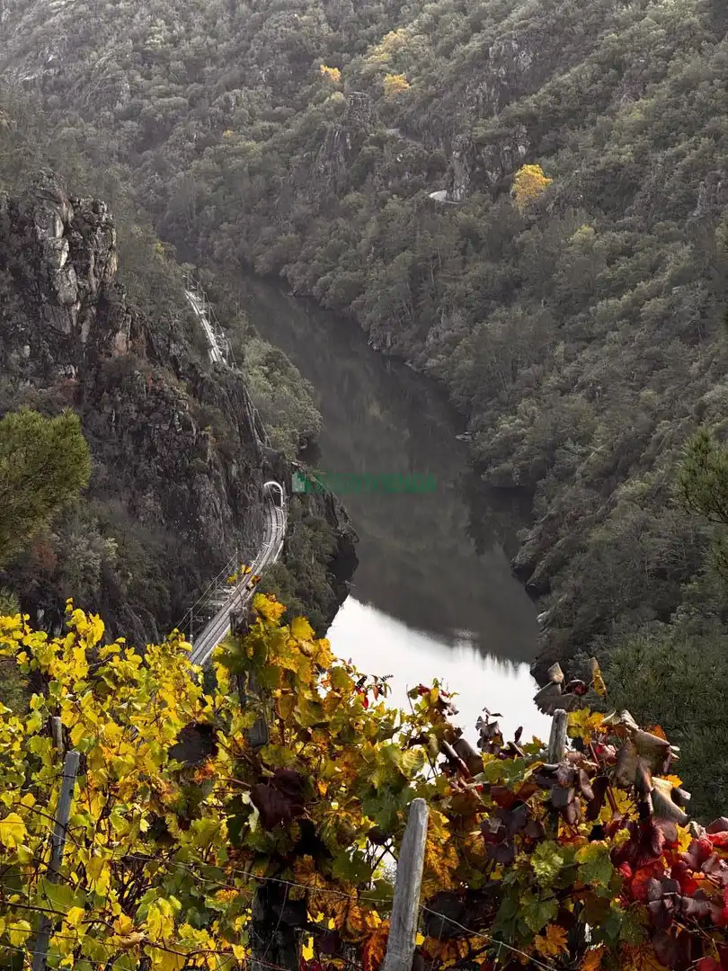 Vista exterior de Finca rústica en venda en Pantón amb Calefacció i Jardí privat