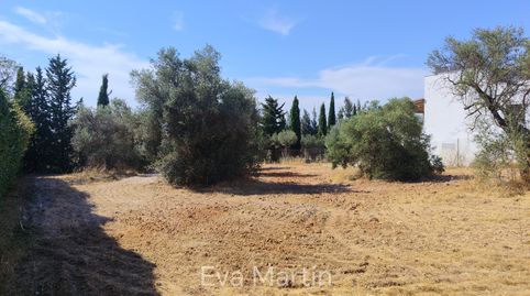 Terreno a la venta en urbanización Minas de Golf, Aznalcázar, immagine 4