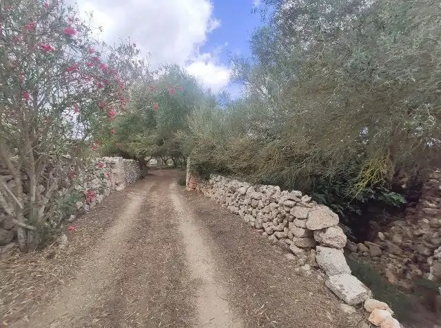 Xalet amb jardí en venda a Cala Blanca, imagen 27
