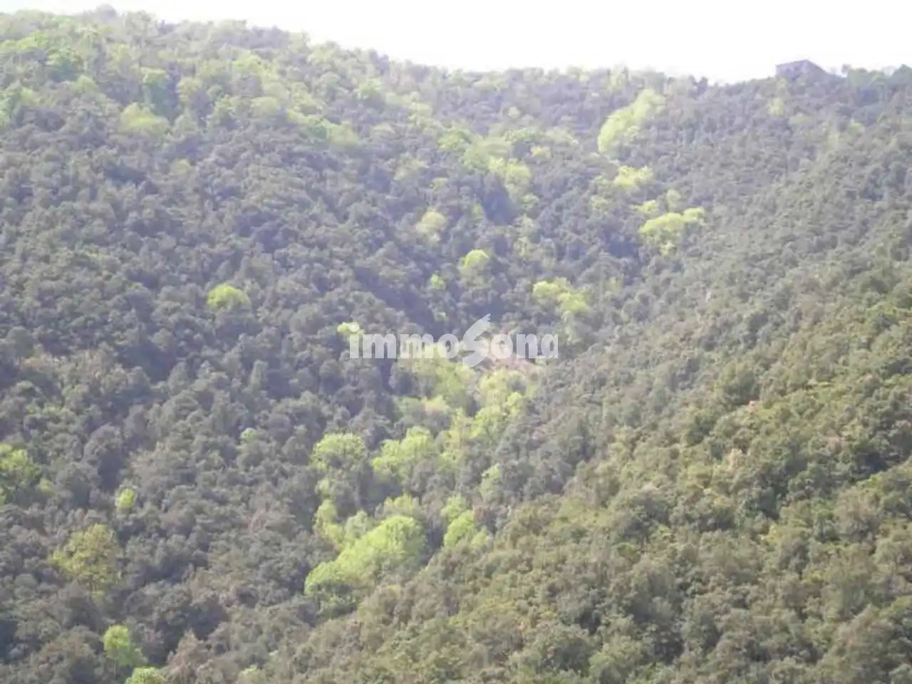 Grundstücke zum Verkauf in Rupit i Pruit