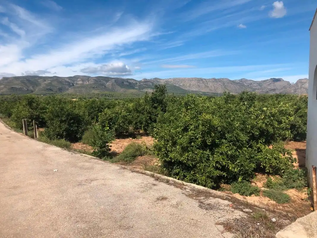 Terreny rústic en venda a Palma de Gandia, imagen 21