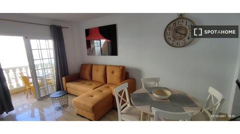 Photo 2 of Apartment to share in Palm - Mar, Santa Cruz de Tenerife