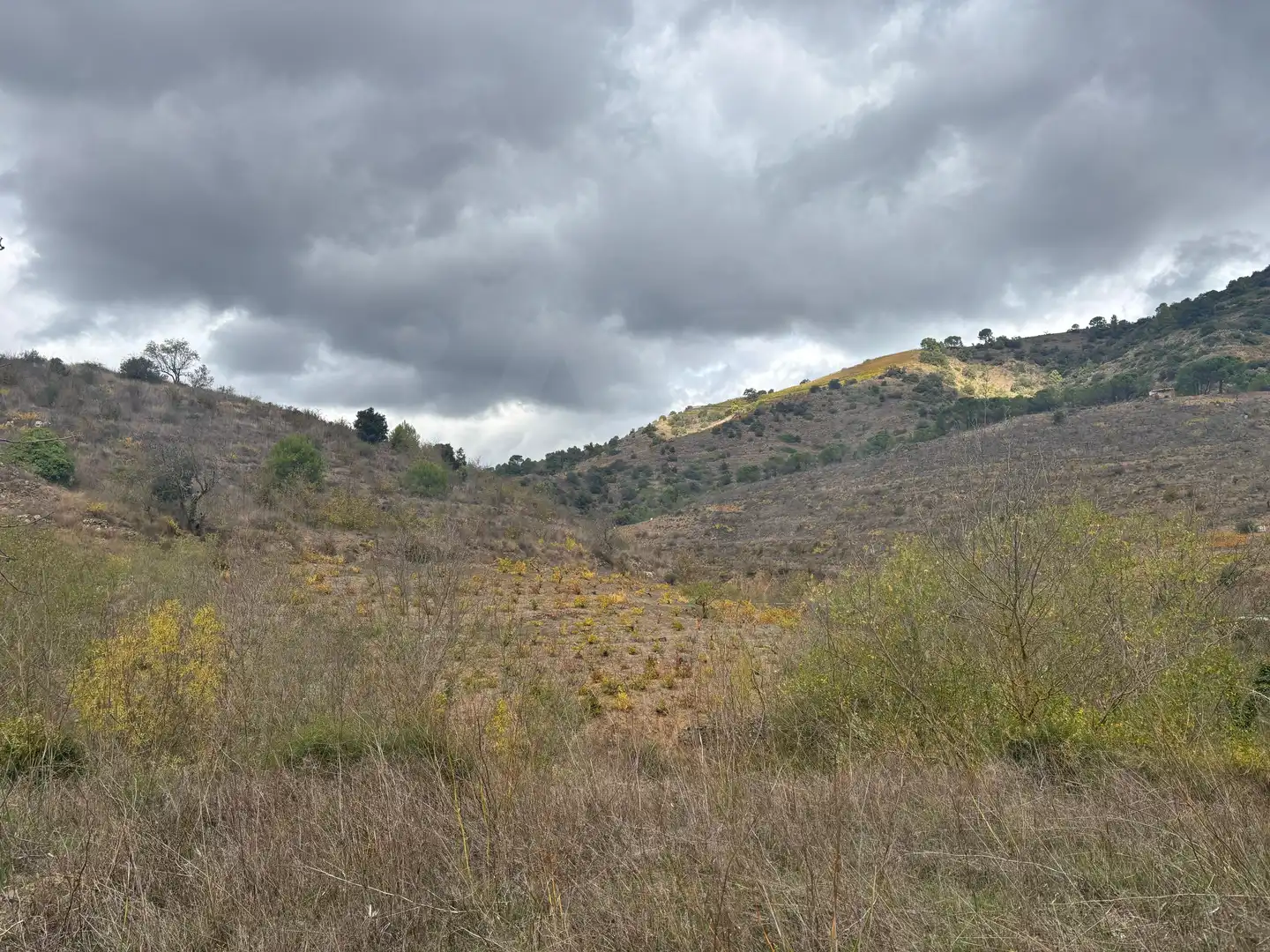Terreno rústico en venta en Porrera, imagen 33