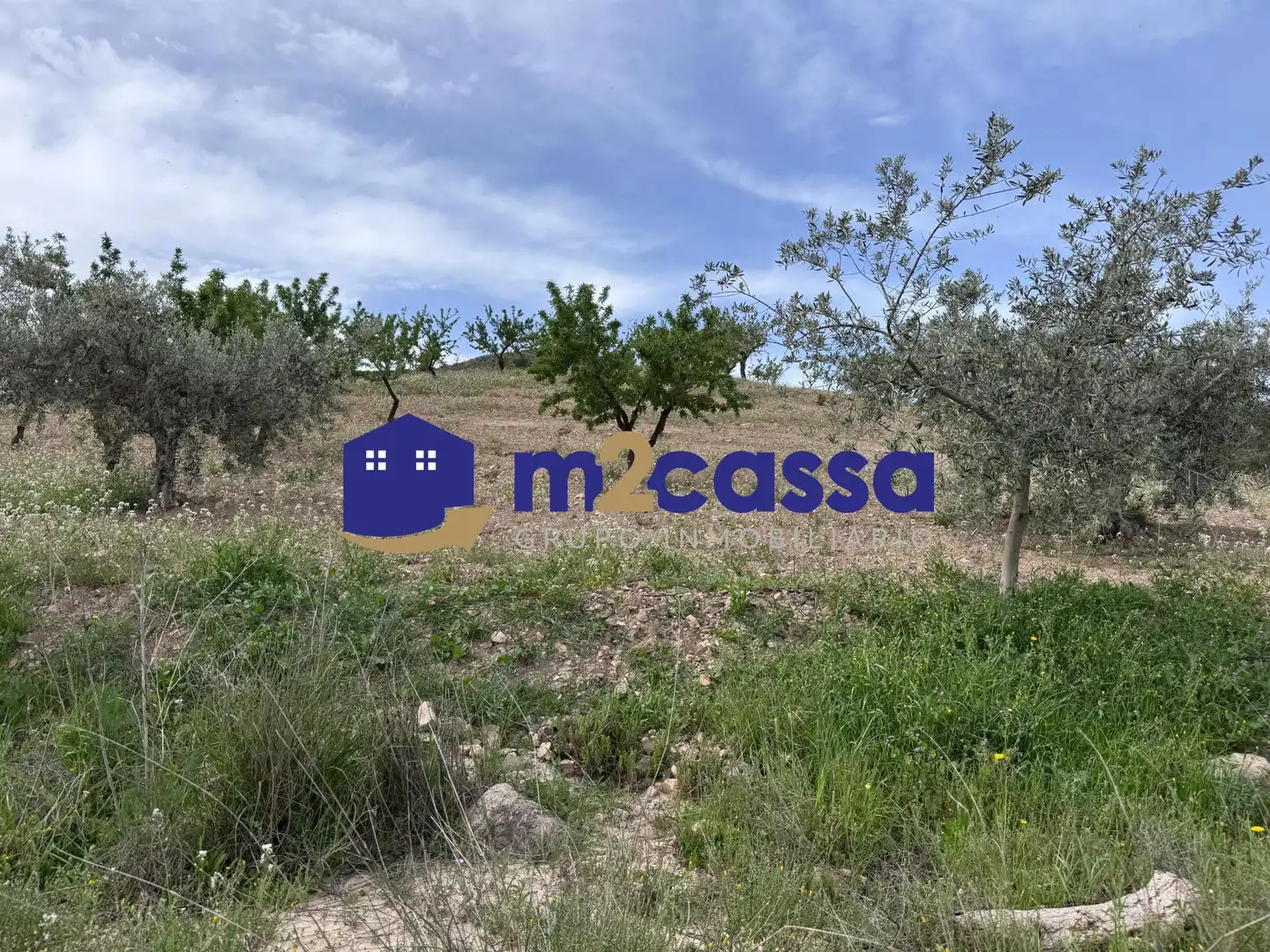 Casa en venda a Pedanías Centro, imagen 5