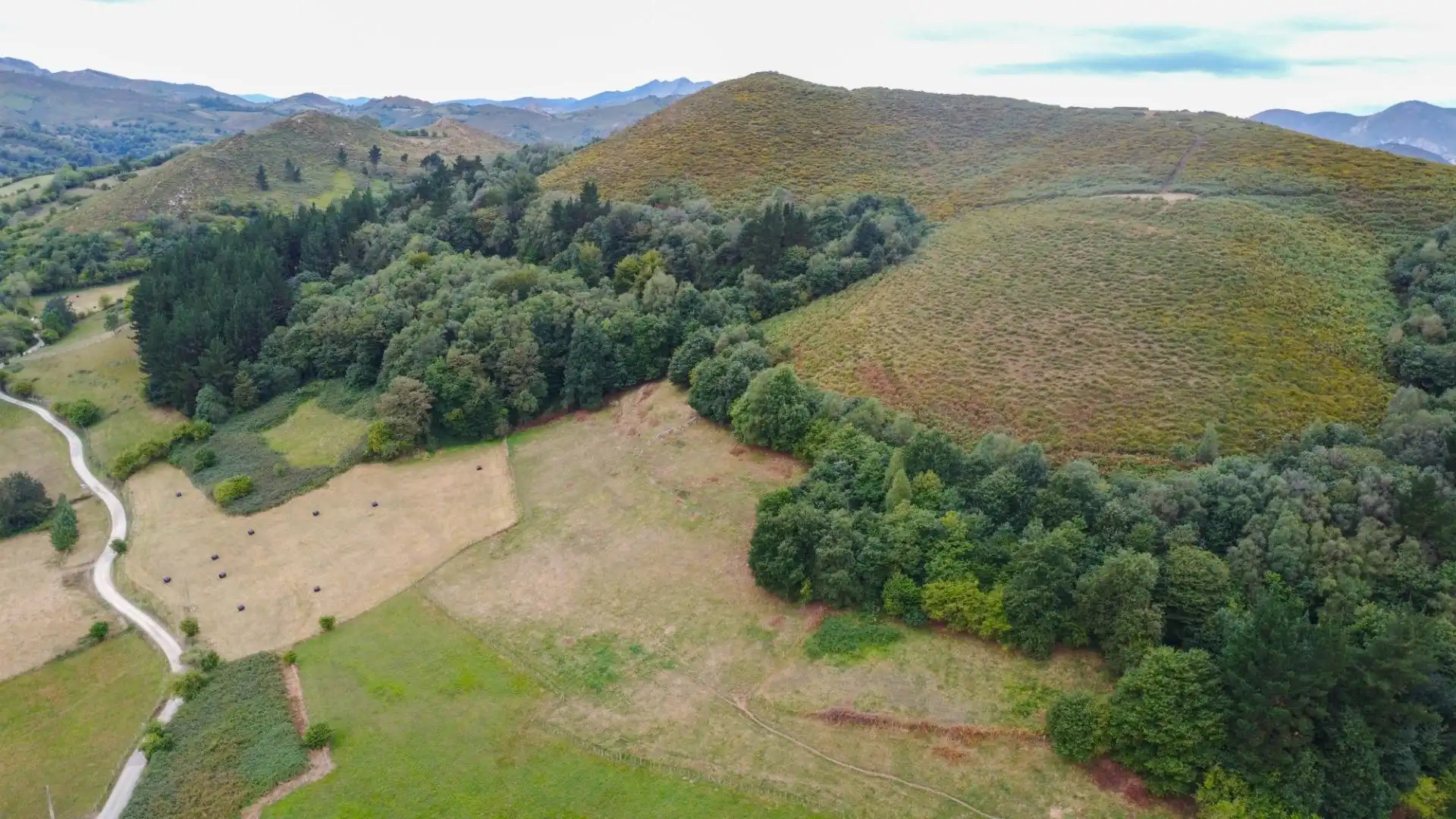 Finca rústica en venda a Lugar Santianes, Grado