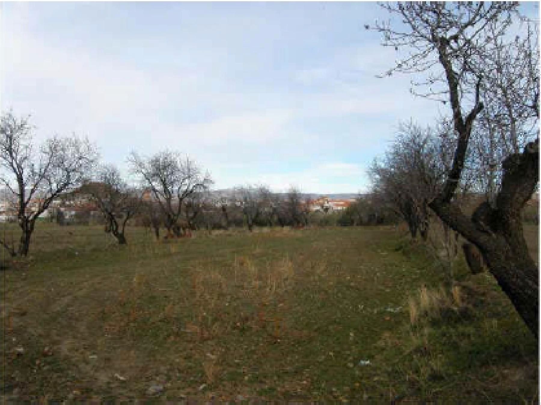 Land for sale in Dólar