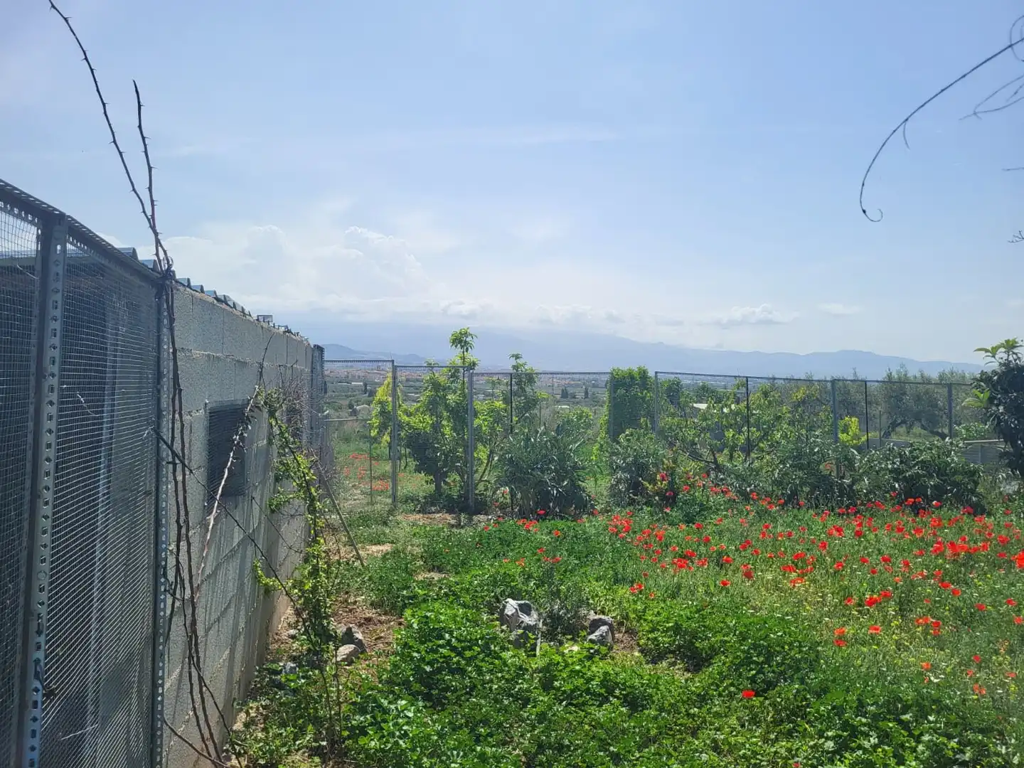 Terrenos y solares en venta en El Torreón - Cortijo Pretel, imagen 9