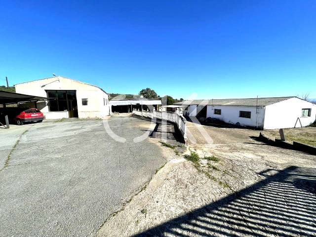 Nave industrial en Alquiler en Real en Coria