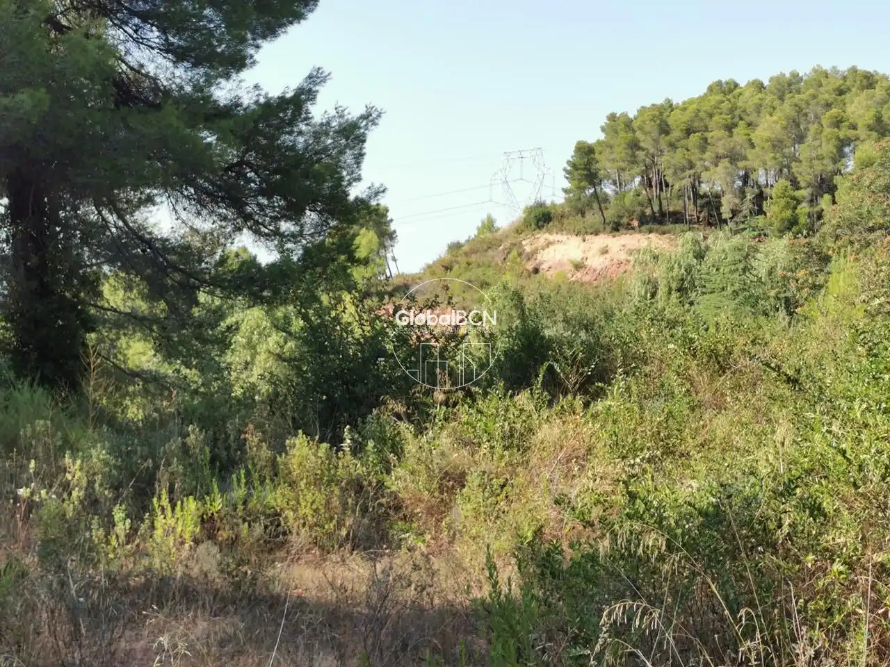 Terreni e lotti in vendita a Corbera de Llobregat, imagen 3
