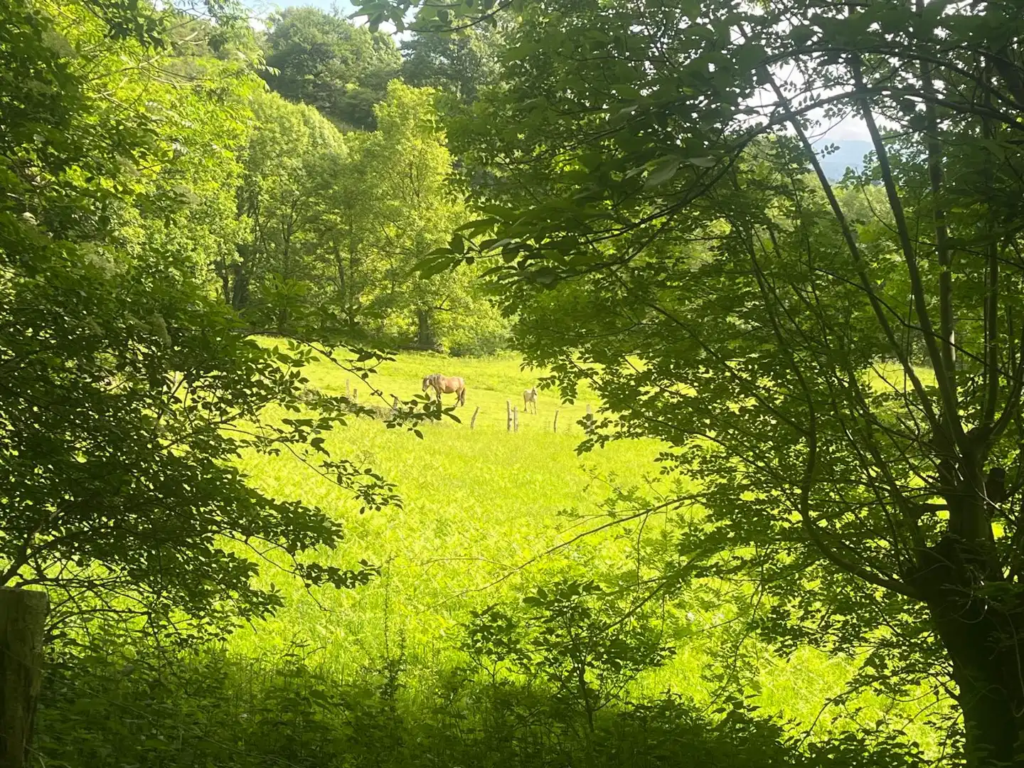 Land for sale in Beintza-Labaien
