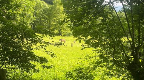 Foto 2 de Terreno en venta en Udaletxeko Karrika, Beintza-Labaien, Navarra