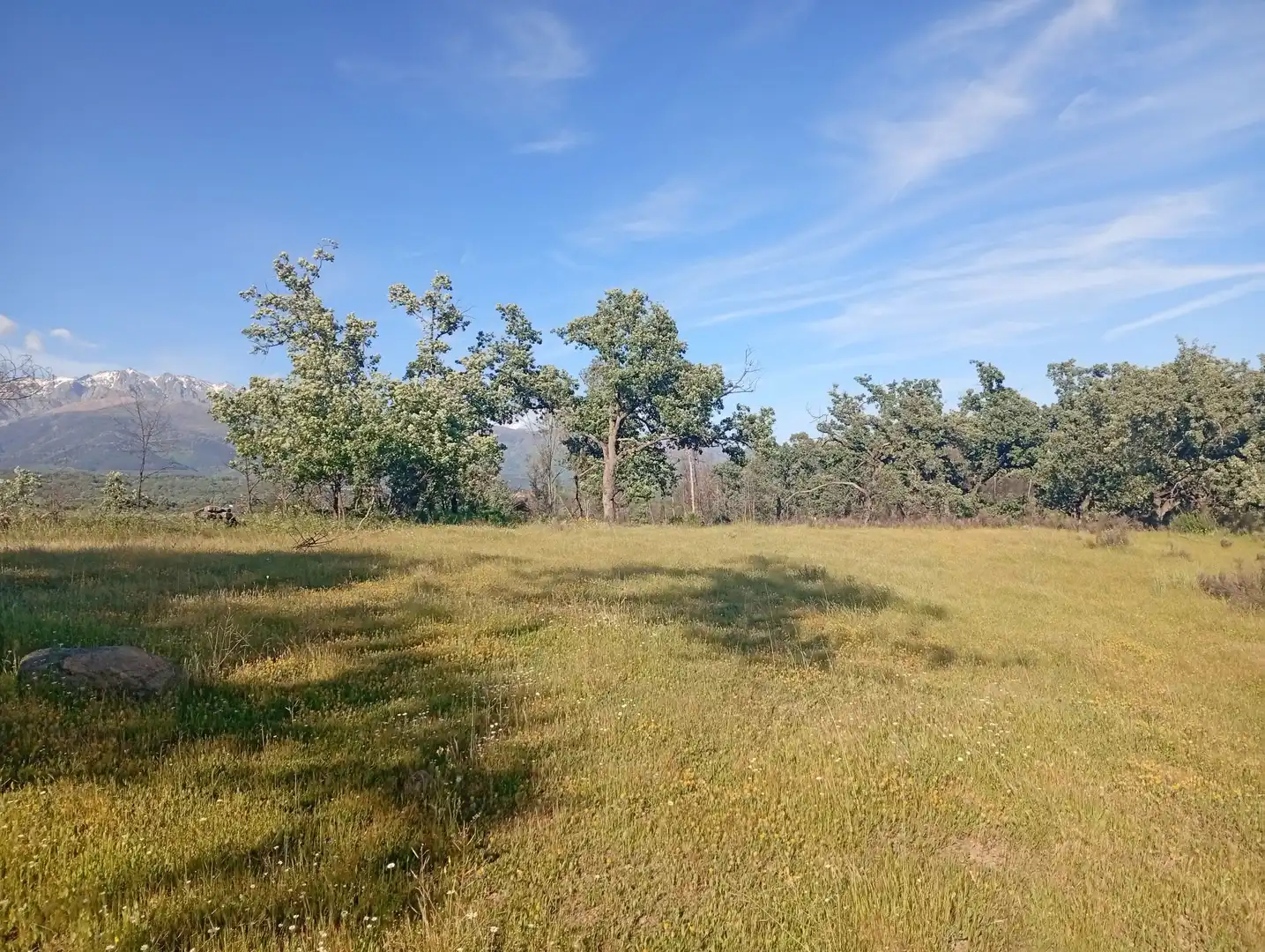 Terreni e lotti in vendita a Villanueva de la Vera, imagen 61