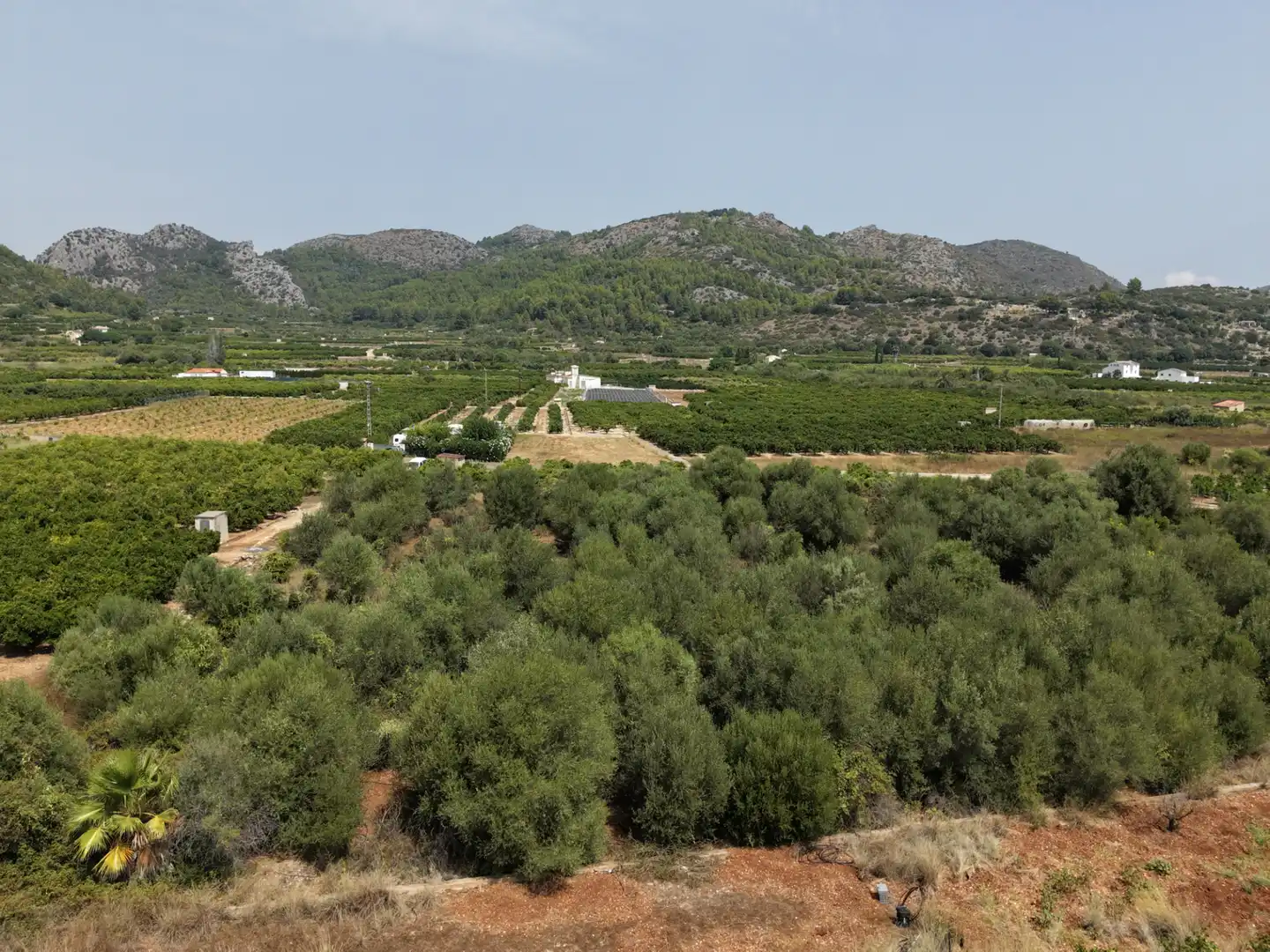 Rural land for sale in Carrer Castell 29, imagen 4
