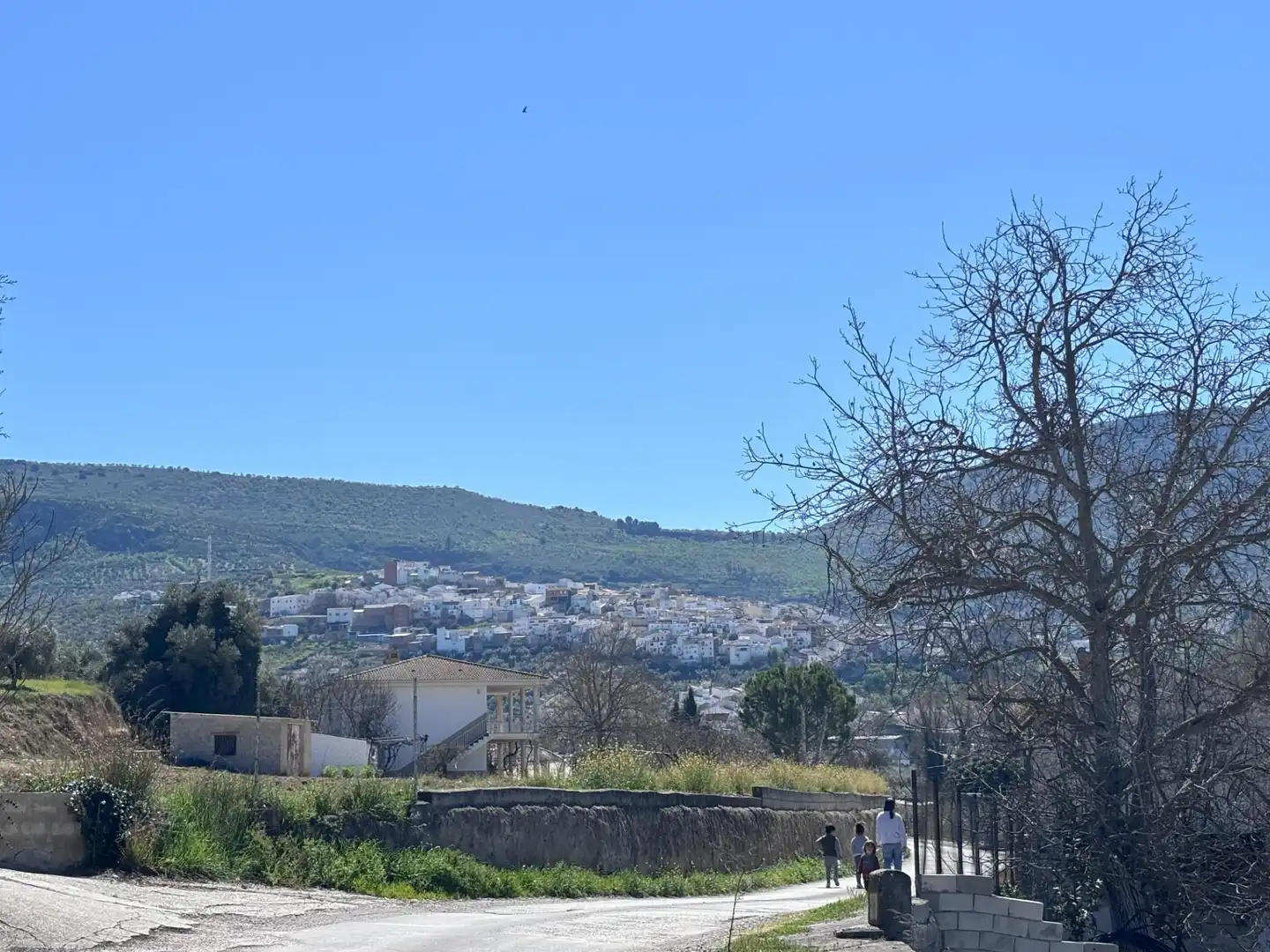 Country homes for sale in DISEMINADO, Castillo de Locubín