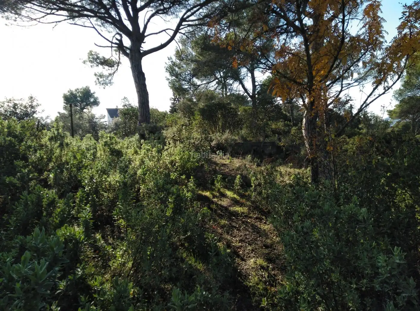 Terreny residencial en venda a Carrer Torrent del Llort 37, imagen 9
