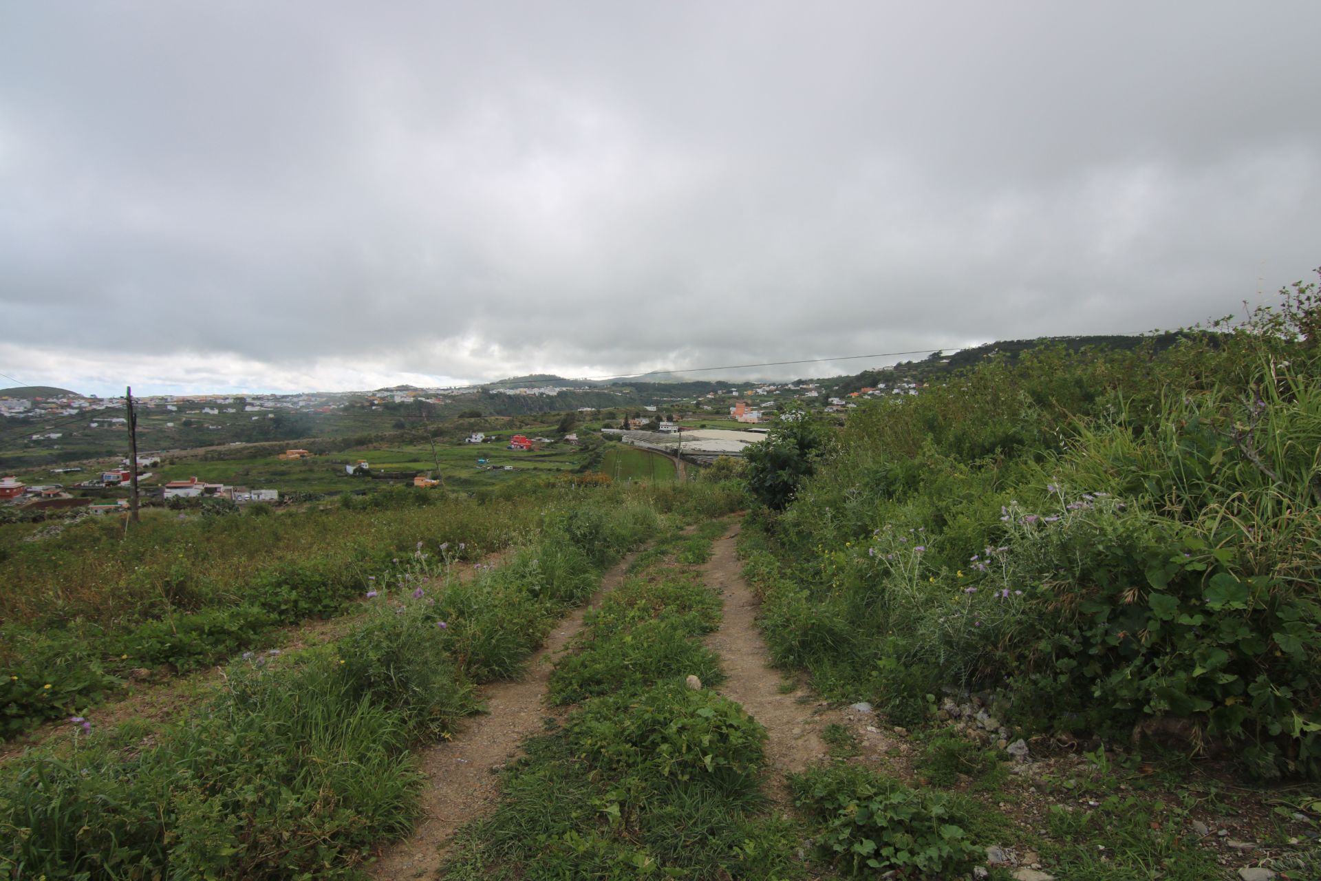 Finca rústica en venda a Casas de Aguilar