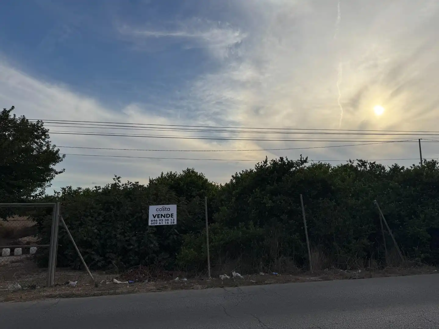 Terreno rústico en venta en Rafal, imagen 4