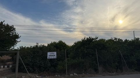 Parcela rústica en Orihuela, immagine 4