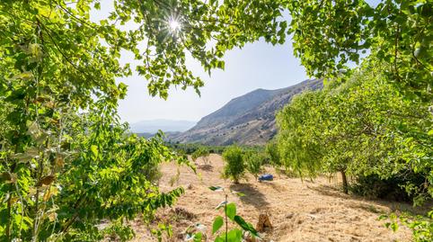 Photo 4 of Country house for sale in Cogollos de la Vega, Granada