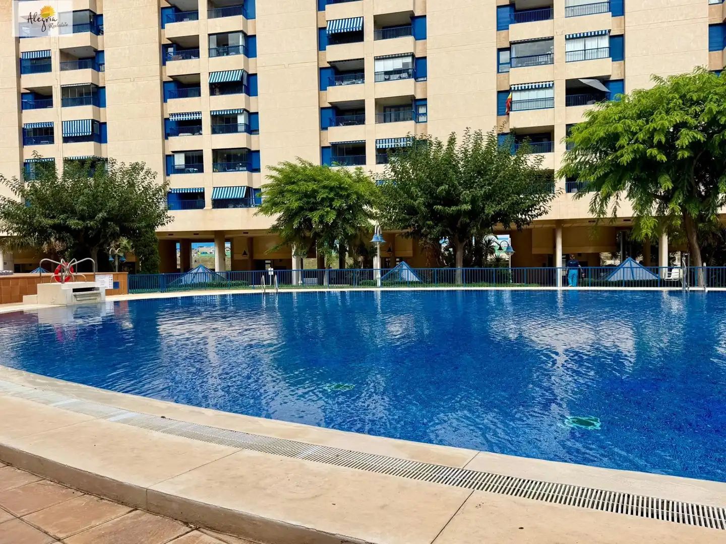 Swimming pool of Apartments for rent in La Patacona
