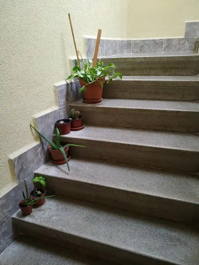 Terraza de Piso en venta en Roa