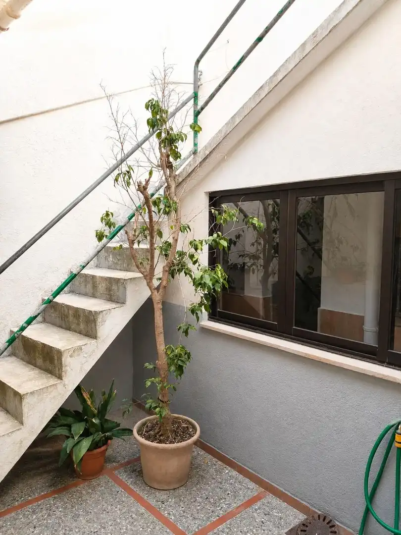 Vista exterior de Casa o chalet en venta en Pollença con Terraza y Trastero