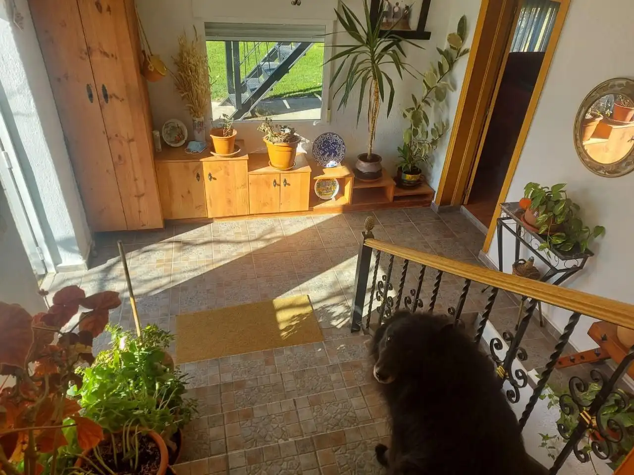 House with pool for sale in Fuente El Saz de Jarama, imagen 7