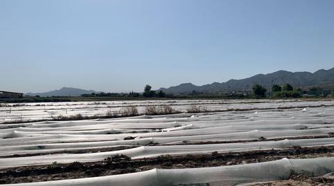 Foto 3 de Residencial en venta en La Hoya, Murcia