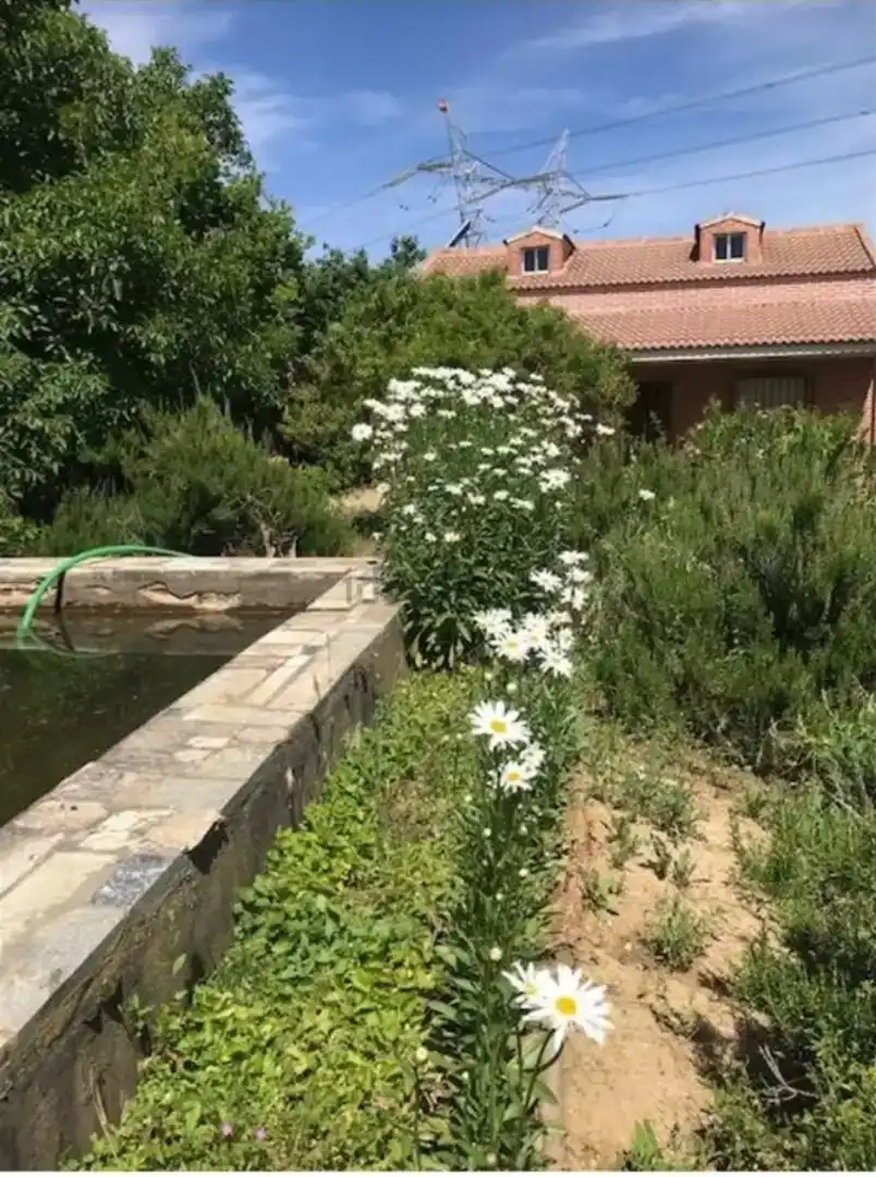 Jardí de Casa o xalet en venda en Palencia Capital