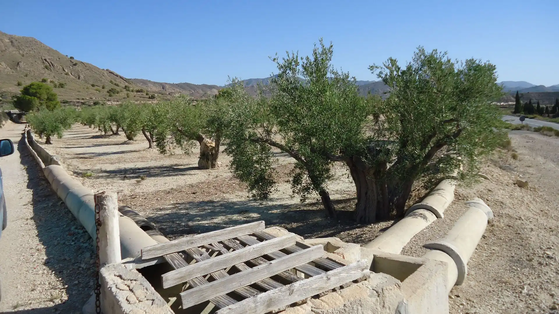 Lands and plots for sale in Abanilla, imagen 3