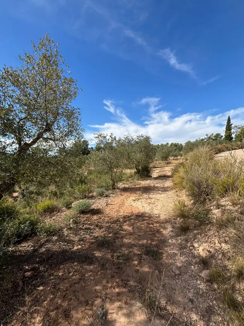 Terreno rustico in vendita a Carrer Sola, imagen 9