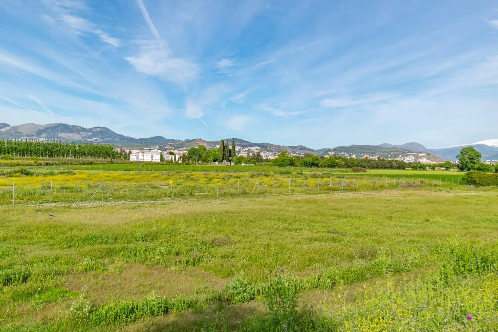 Lands and plots for sale in Polígono 9 Parcela 307 MARACHAT. GRANADA (GRANADA 9, imagen 11