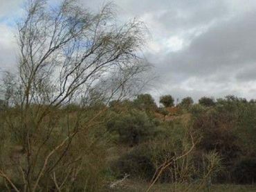 Terrains et parcelles à vendre à LA LIEBRE. QUER
